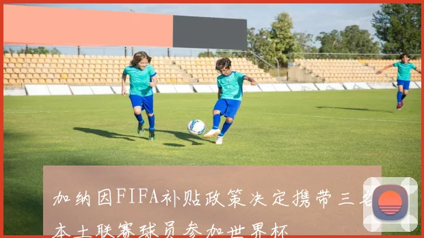 加纳因FIFA补贴政策决定携带三名本土联赛球员参加世界杯
