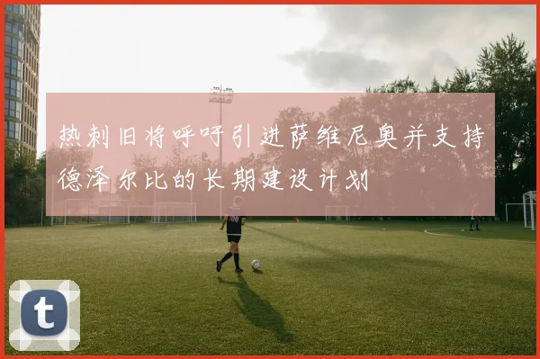 热刺旧将呼吁引进萨维尼奥并支持德泽尔比的长期建设计划