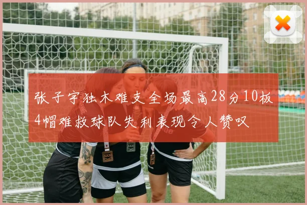 张子宇独木难支全场最高28分10板4帽难救球队失利表现令人赞叹
