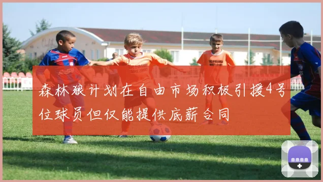 森林狼计划在自由市场积极引援4号位球员但仅能提供底薪合同